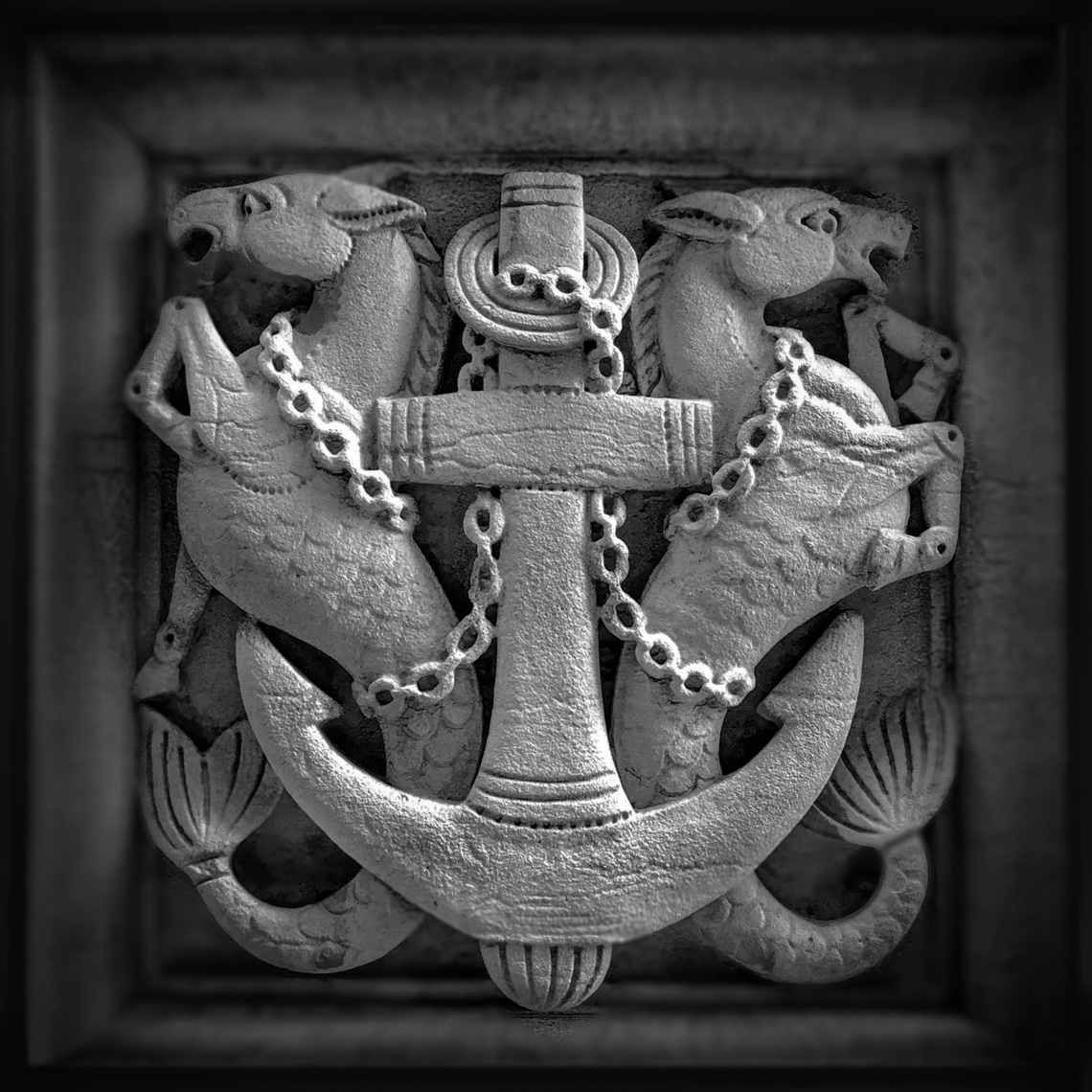 anchor seahorses