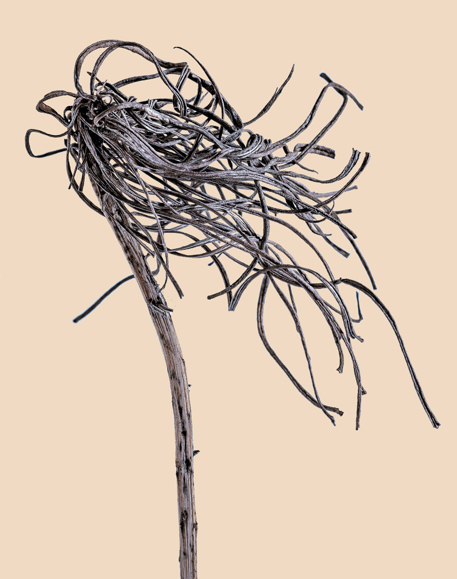 brush-on-beige-copy